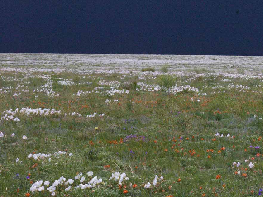 Pawnee-national-grasslands