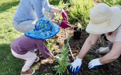 From Weeds to Wildlife: An HOA Embraces the Native Garden Revolution