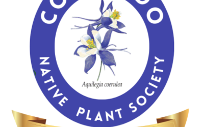 Guardians of the Galaxy: CoNPS in Action